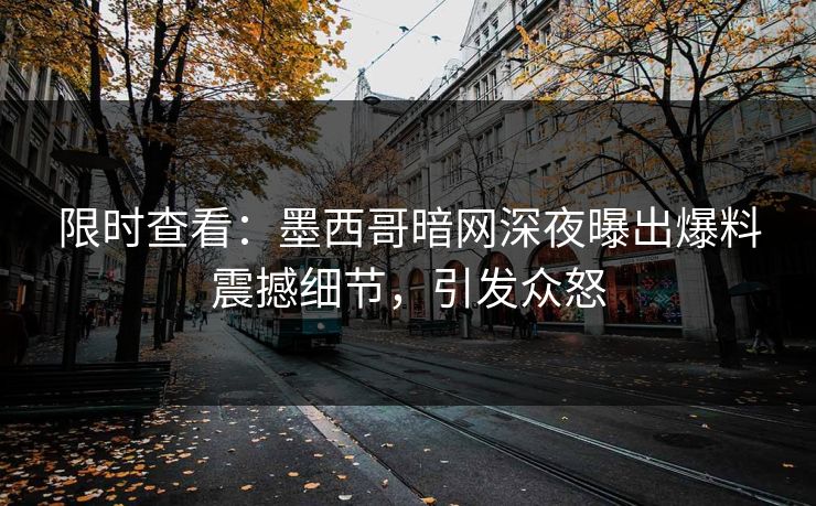 限时查看：墨西哥暗网深夜曝出爆料震撼细节，引发众怒