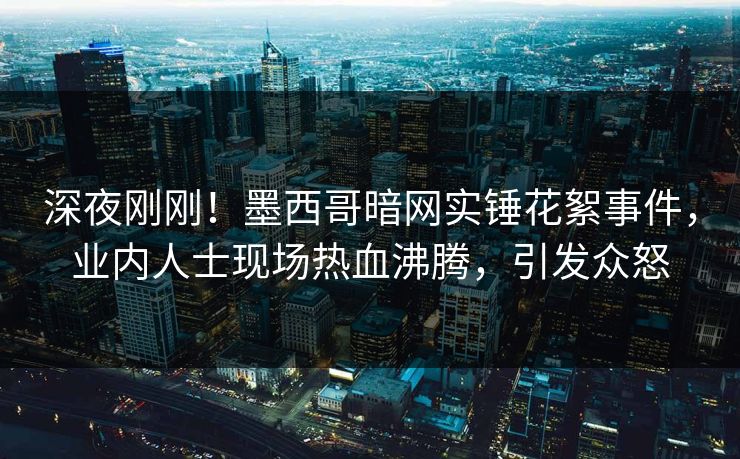 深夜刚刚！墨西哥暗网实锤花絮事件，业内人士现场热血沸腾，引发众怒