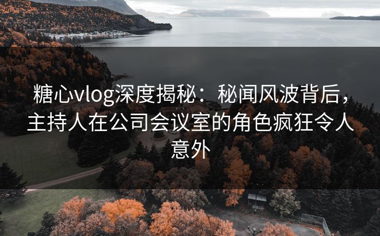 糖心vlog深度揭秘：秘闻风波背后，主持人在公司会议室的角色疯狂令人意外