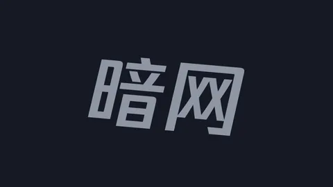 暗网导航：资源指南