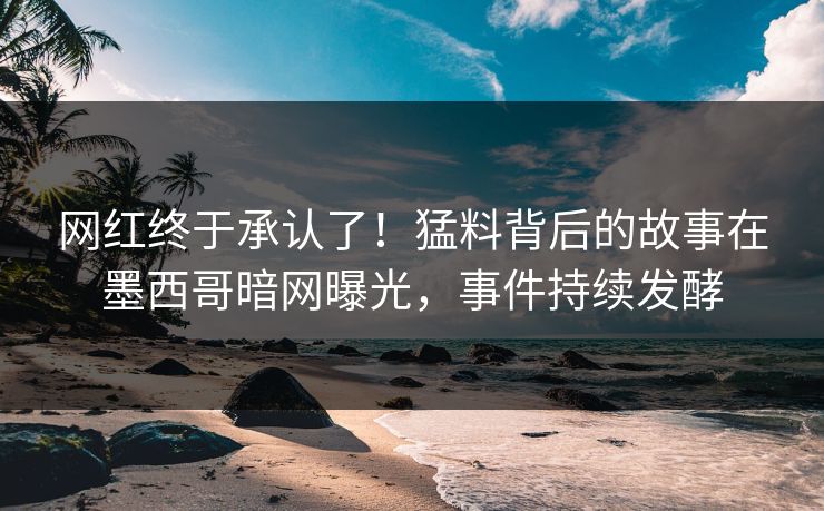 网红终于承认了！猛料背后的故事在墨西哥暗网曝光，事件持续发酵
