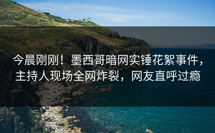 今晨刚刚！墨西哥暗网实锤花絮事件，主持人现场全网炸裂，网友直呼过瘾